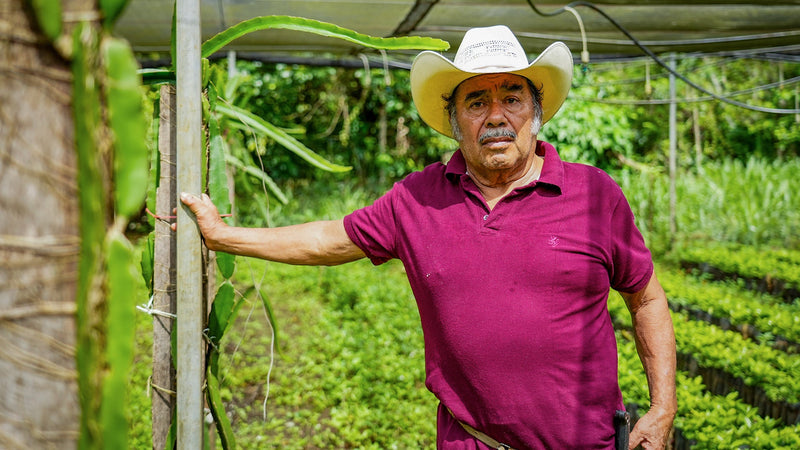 How Goldberry Roasting Company Supports Growing Communities Through Coffee