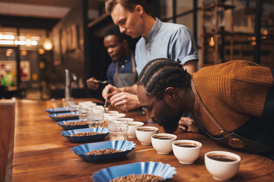 coffee tasting at home