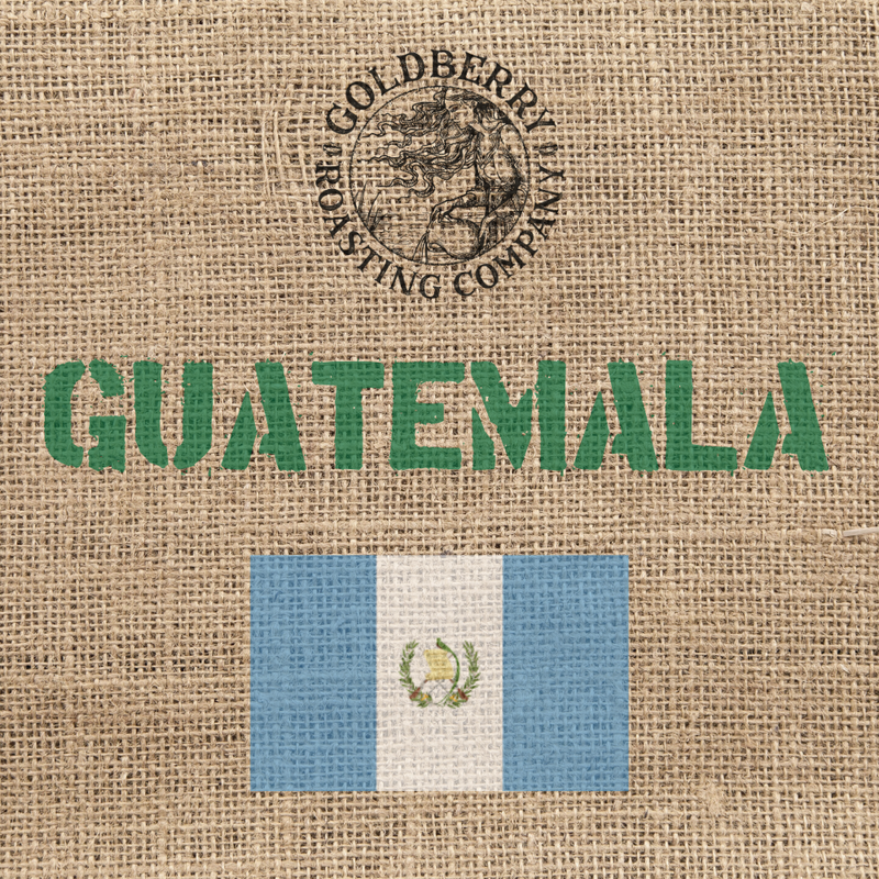 Green Beans - Guatemala